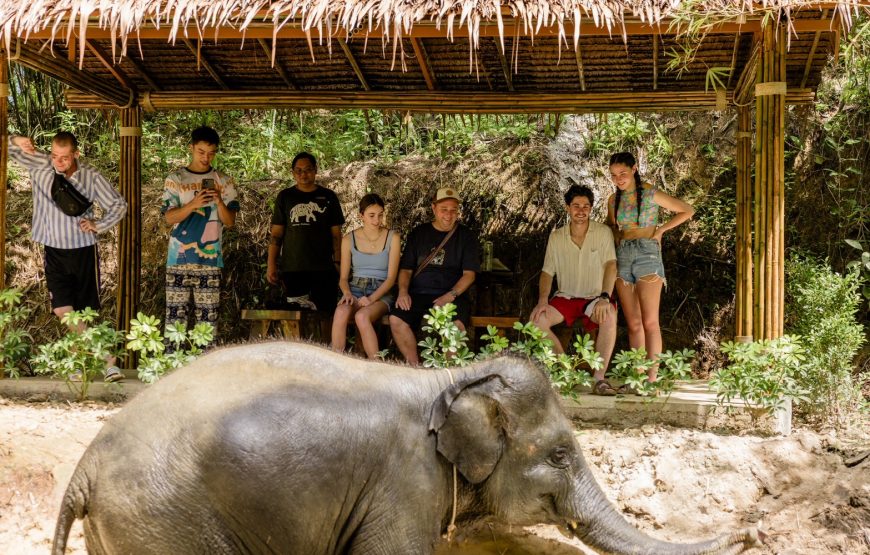 Khao Lak Ethical Elephant Sanctuary Observation Experience