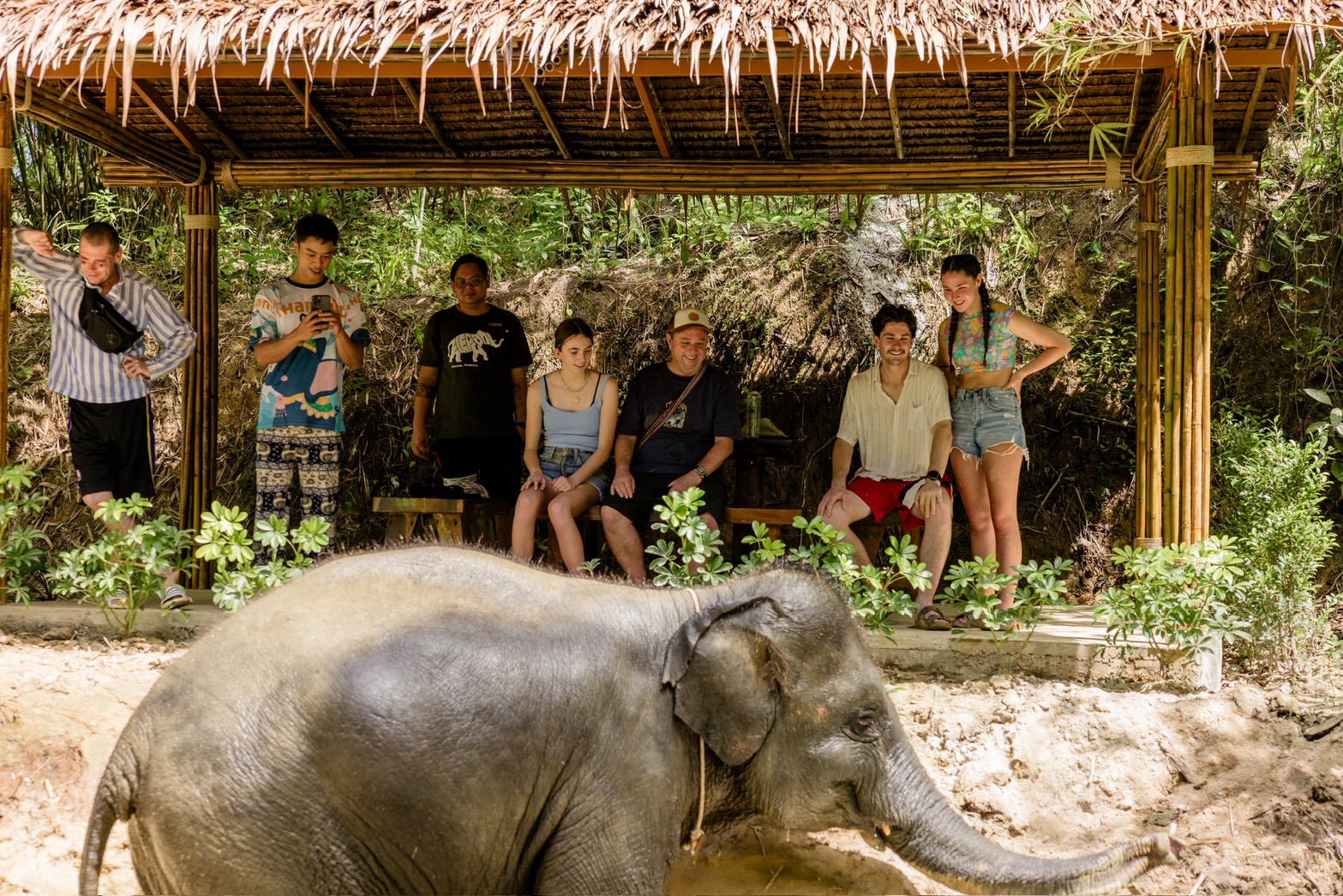 Guests observing rescued elephants bathing at an ethical elephant sanctuary in Khao Lak, Thailand