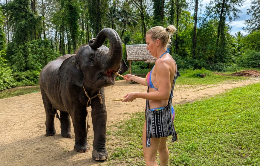 Khao Lak Elephant Experience