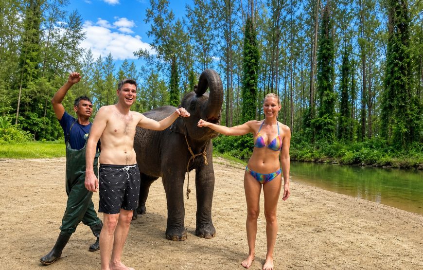 Khao Lak Elephant Experience