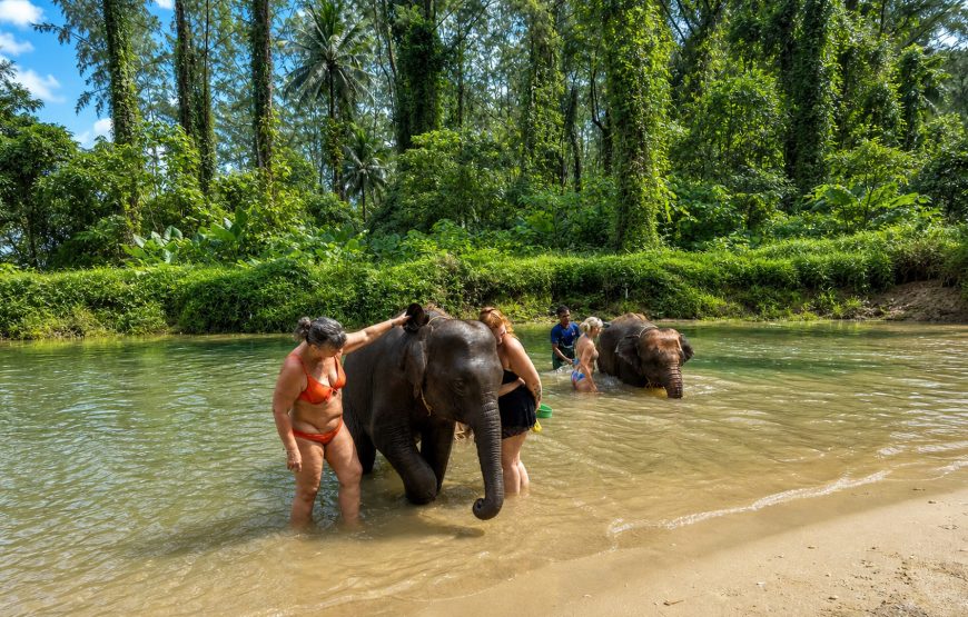 Khao Lak Elephant Experience