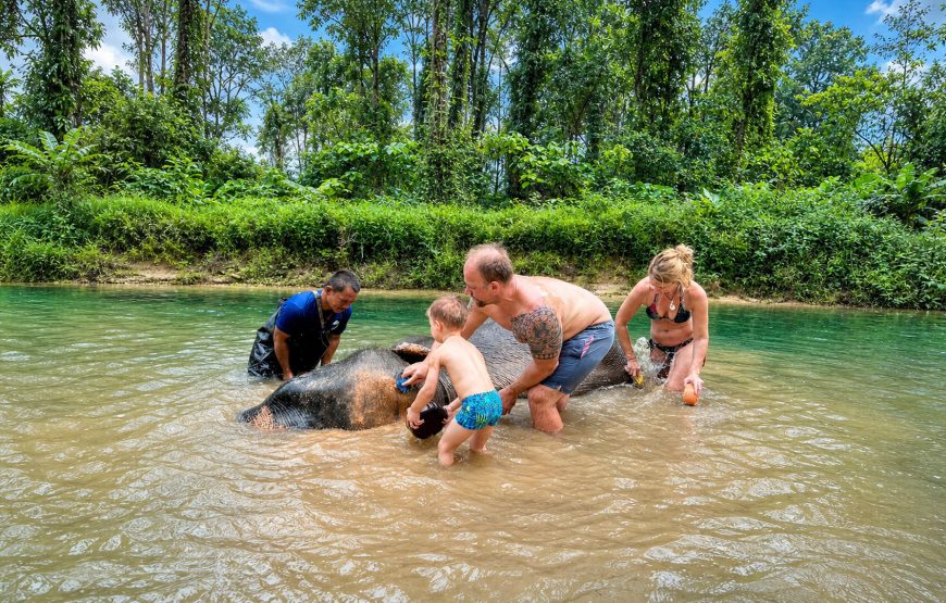Khao Lak Elephant Experience