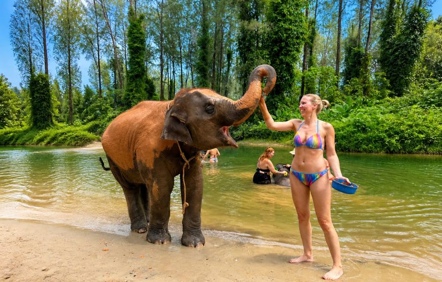 Khao Lak Elephant Experience