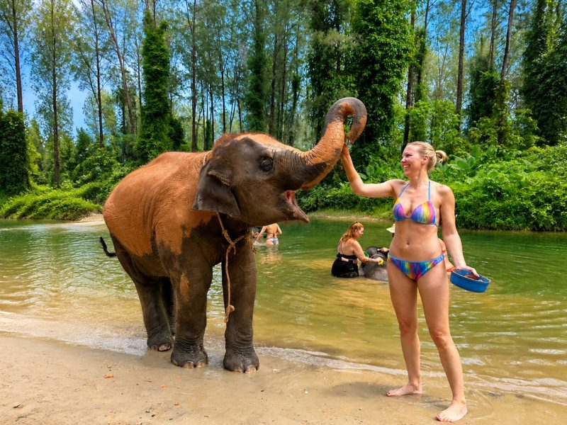 Guest interacting with an elephant during a sanctuary experience in Khao Lak
