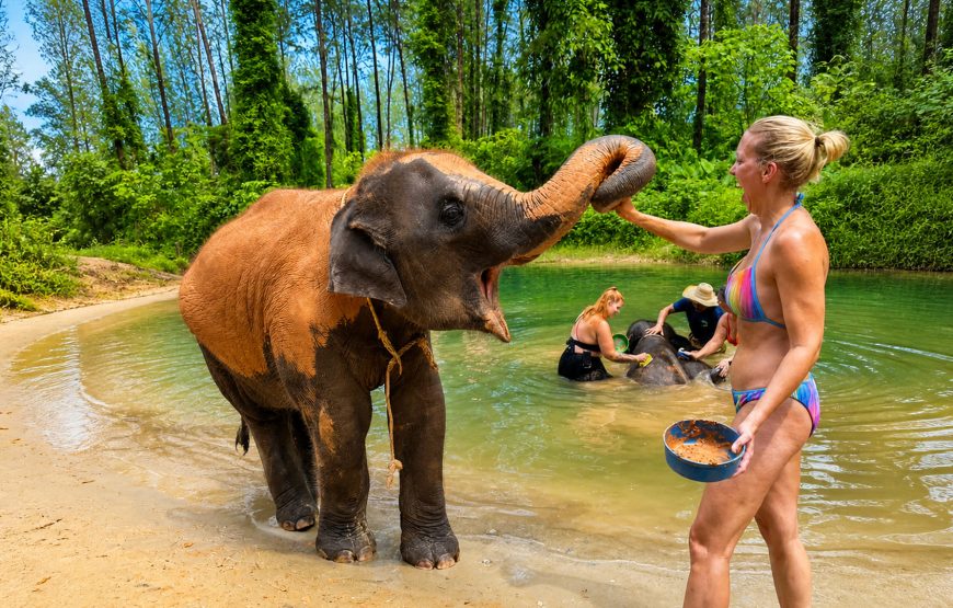 Khao Lak Elephant Experience