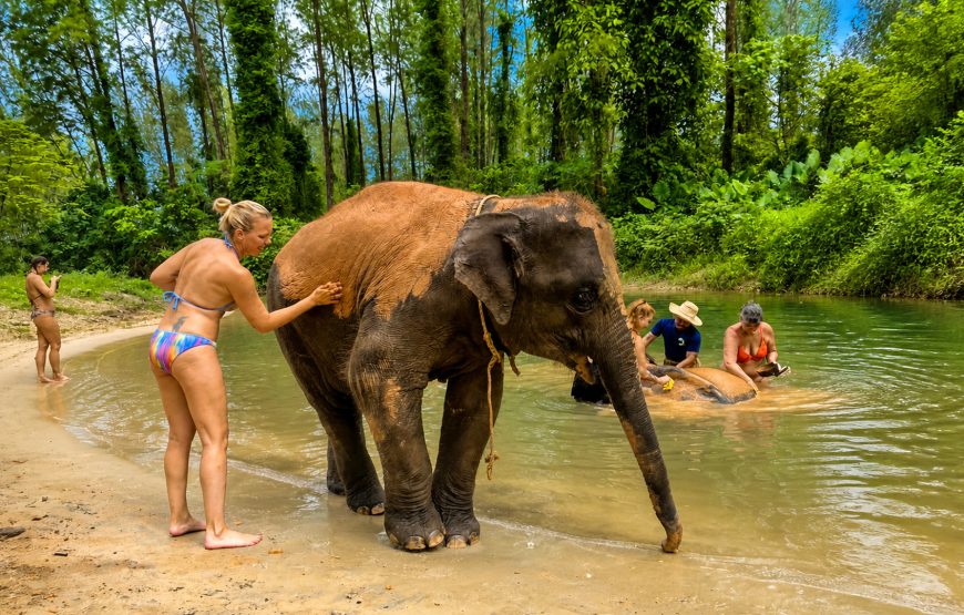 Khao Lak Elephant Experience