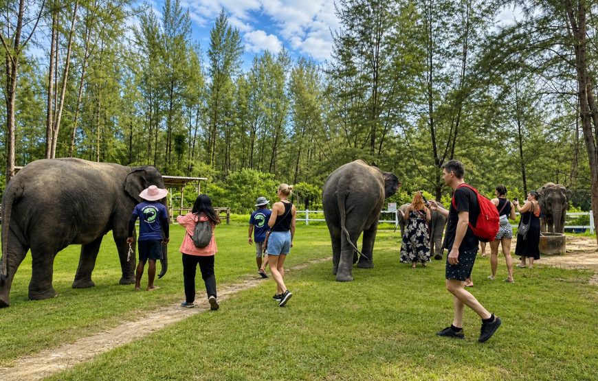 Khao Lak Elephant Experience