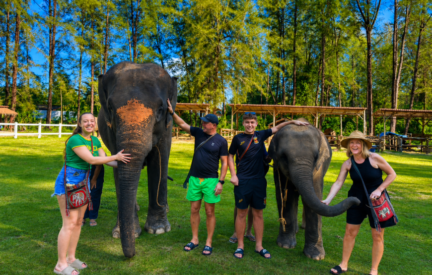 Khao Lak Ethical Elephant Sanctuary Observation Experience