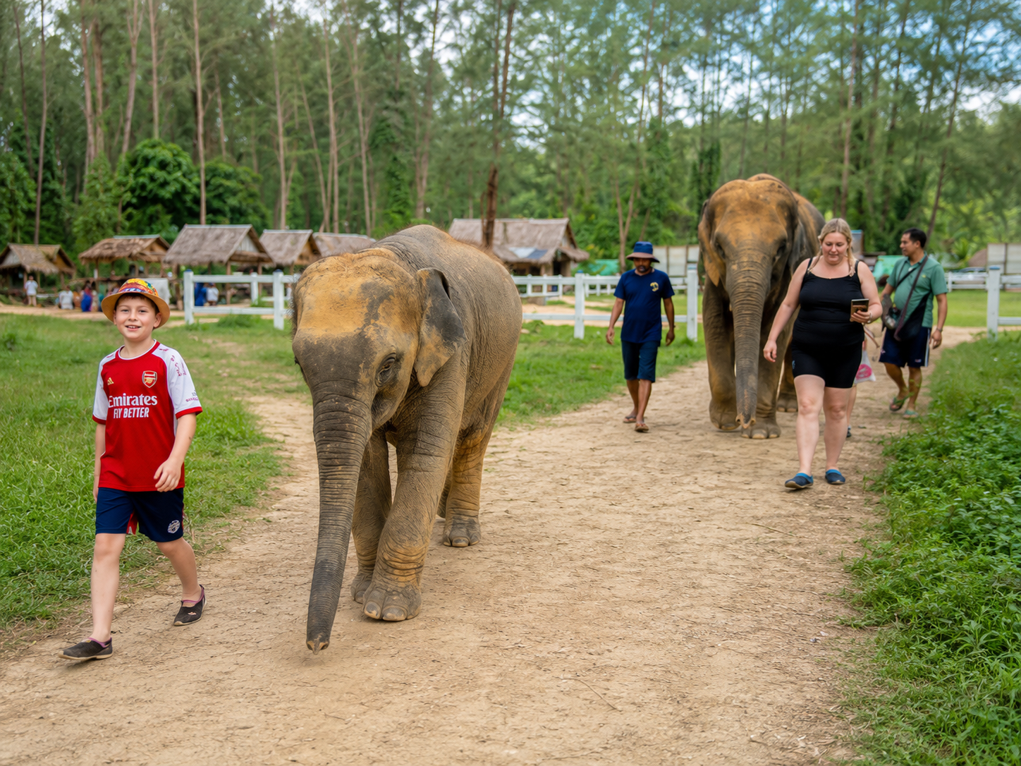 Walk with the Elephants