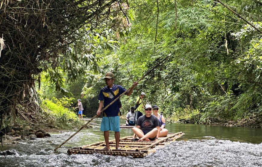 Khao Lak Turtle Conservation, Bamboo Rafting & Waterfall Tour