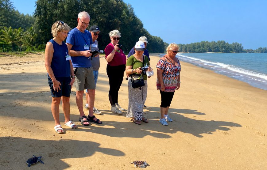 Khao Lak Turtle Conservation, Bamboo Rafting & Waterfall Tour