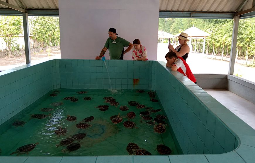 Khao Lak Turtle Conservation, Bamboo Rafting & Waterfall Tour