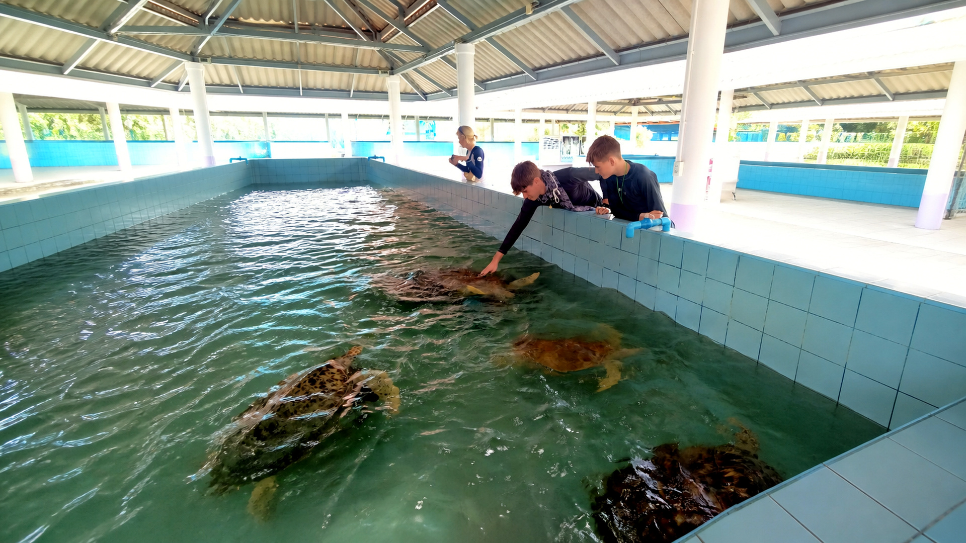 Turtle Conservation Center