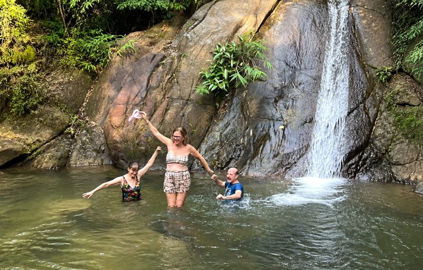 Khao Lak Turtle Conservation, Bamboo Rafting & Waterfall Tour