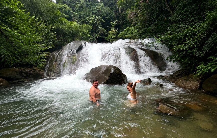 Khao Lak Turtle Conservation, Bamboo Rafting & Waterfall Tour