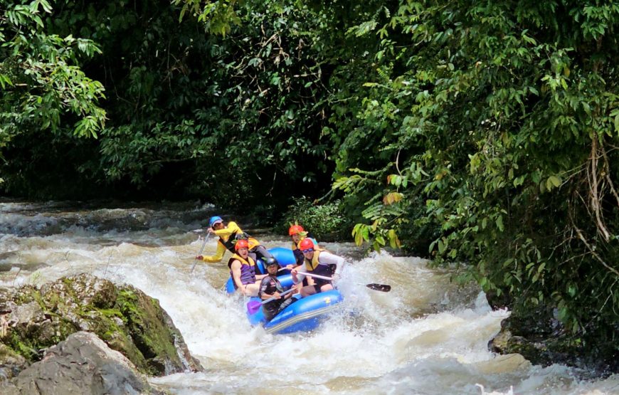 Phang Nga Whitewater Rafting Adventure: Waterfall, Zipline & ATV Options