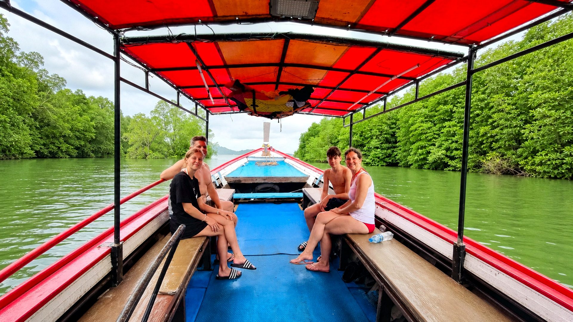 Mangrove Sightseeing