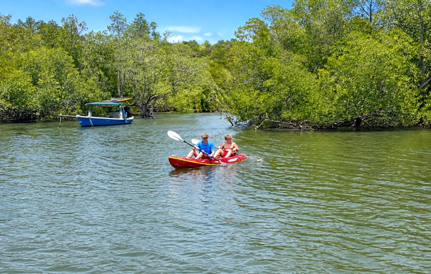 Khao Nayak Local Snorkeling – Private Tour