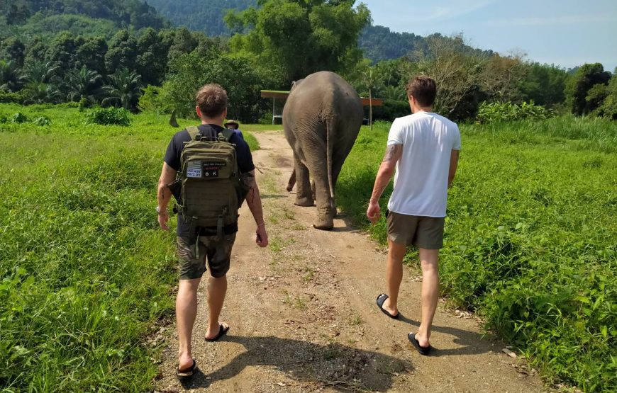 Khao Sok Safari Day Tour: Bamboo Rafting, Monkey Temple & Elephant Experience