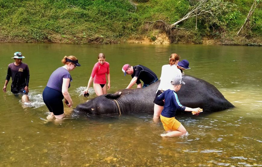 Khao Sok Safari Day Tour: Bamboo Rafting, Monkey Temple & Elephant Experience