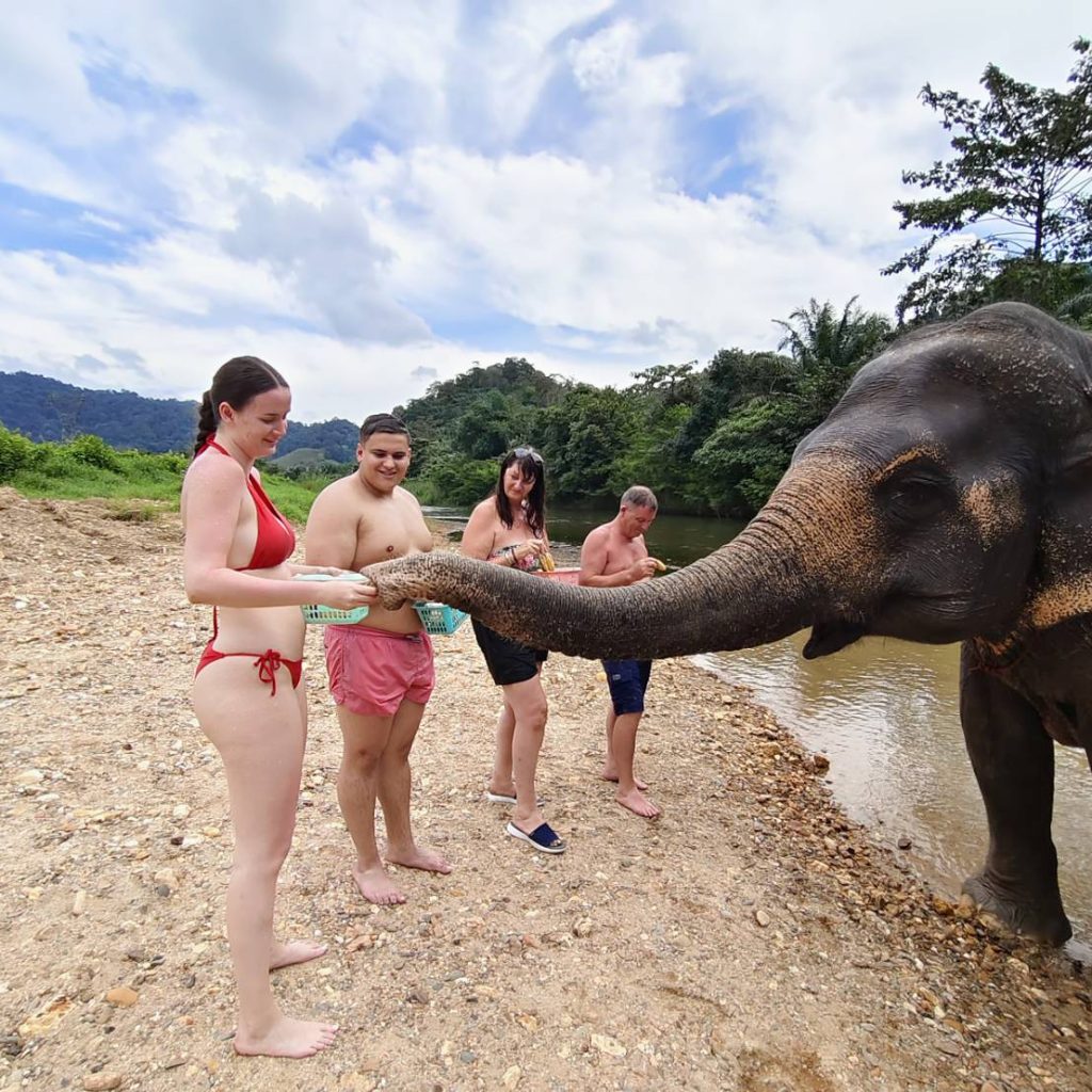 Guests feeding an elephant during the Khao Sok Safari tour