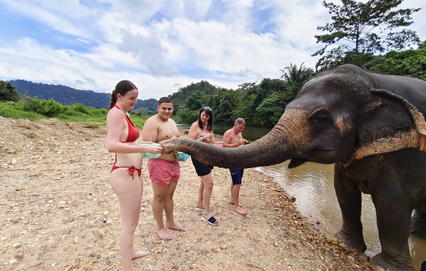 Khao Sok Safari Day Tour: Bamboo Rafting, Monkey Temple & Elephant Experience
