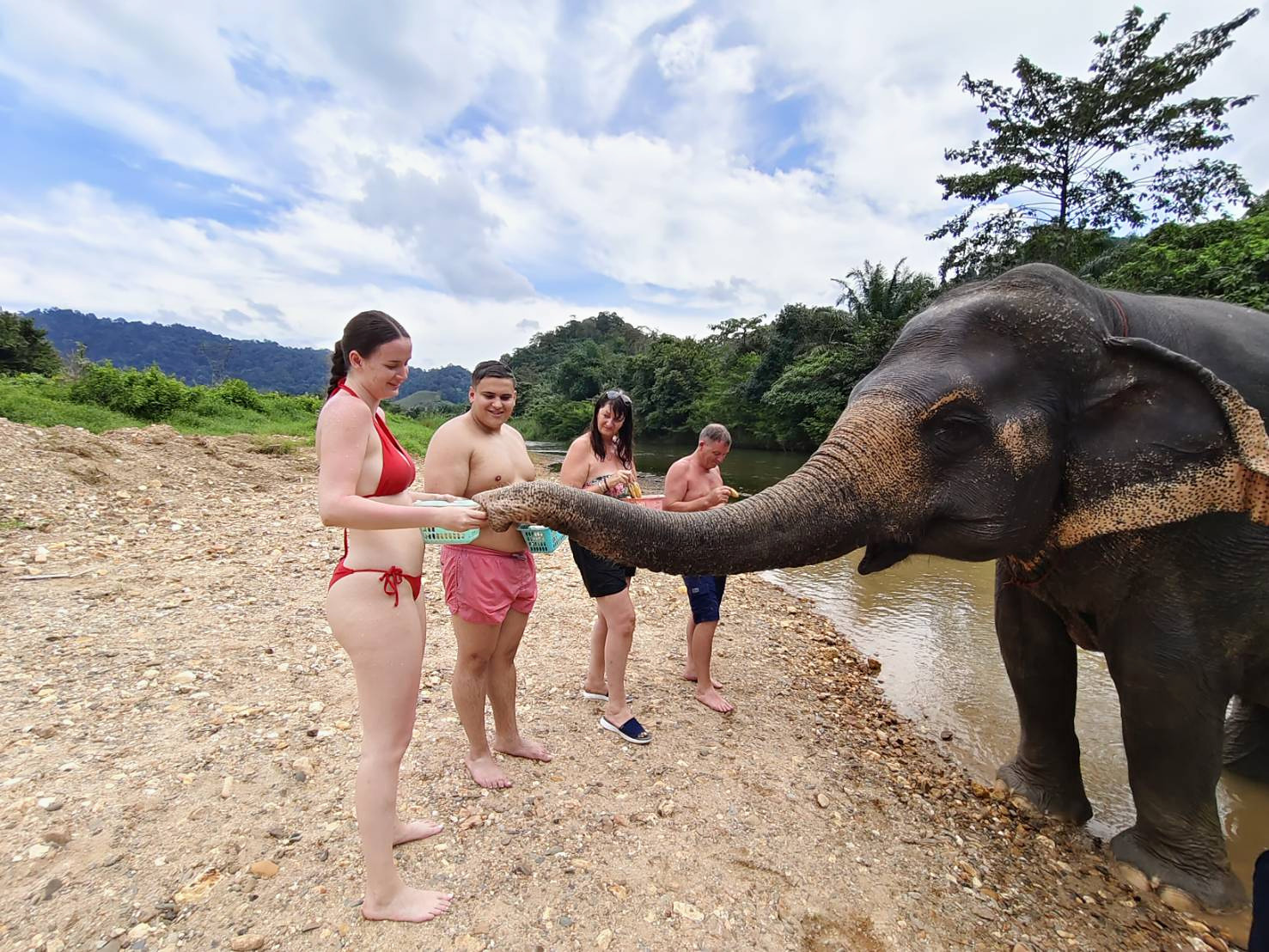 Guests feeding an elephant during the Khao Sok Safari tour