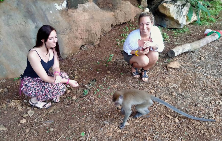 Khao Sok Safari Day Tour: Bamboo Rafting, Monkey Temple & Elephant Experience