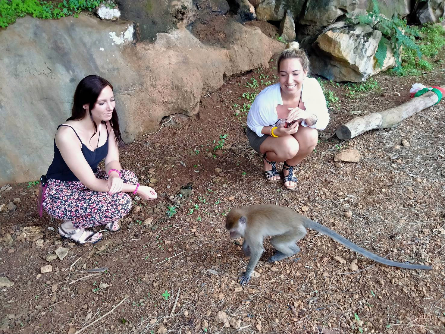Monkey Temple