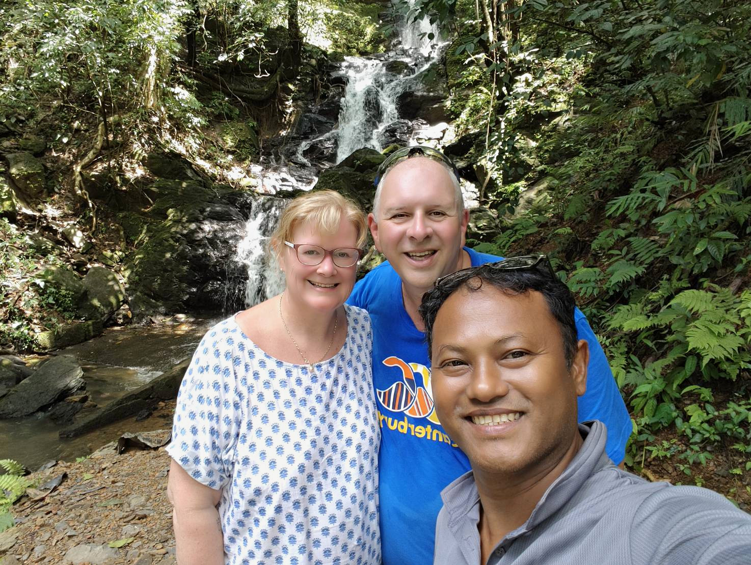 Rainforest Waterfall