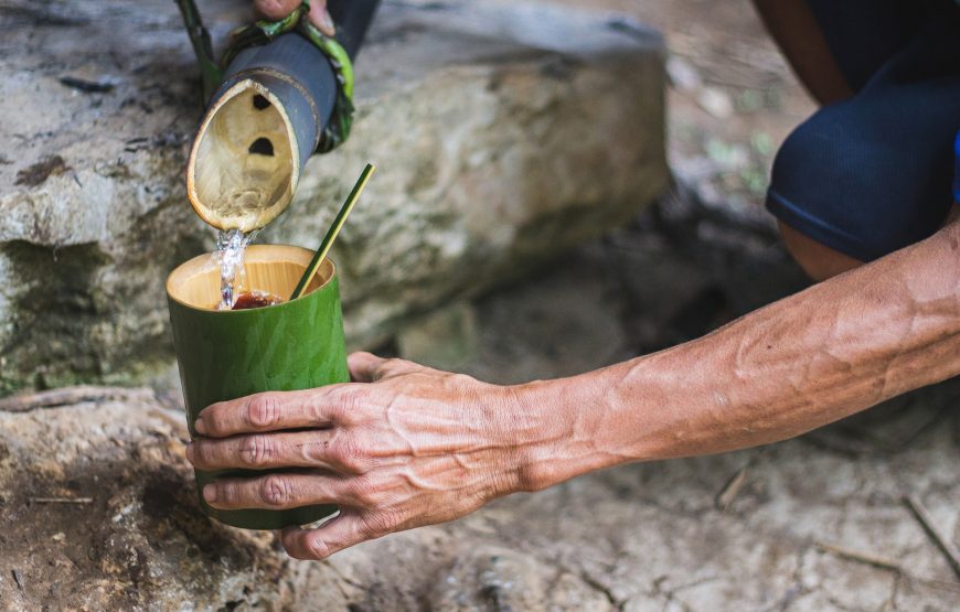 Khao Sok Safari Day Tour: Bamboo Rafting, Monkey Temple & Elephant Experience