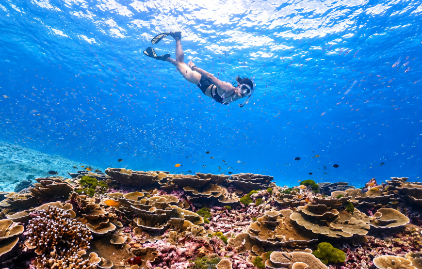 Similan Islands Snorkeling Day Tour