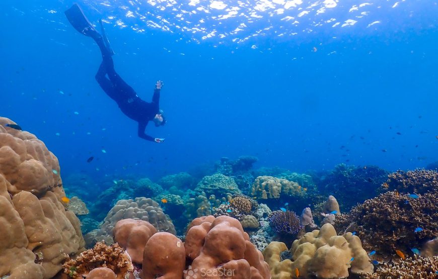 Surin Island Day Trip