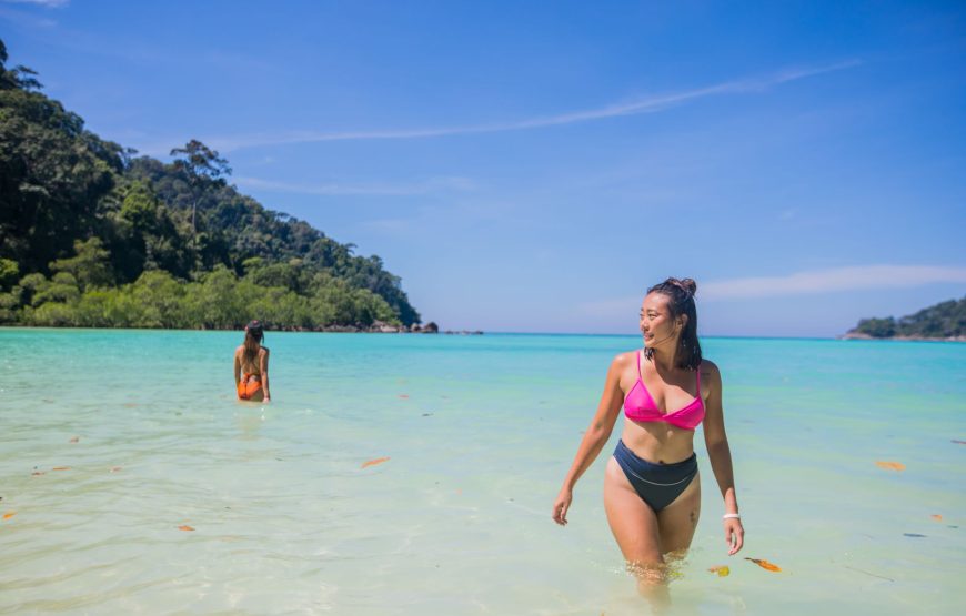 Surin Island Day Trip