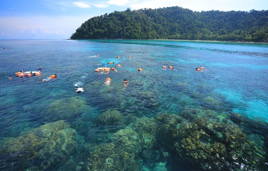Surin Island Day Trip