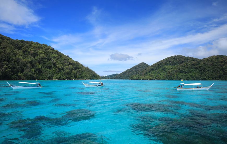 Surin Island Day Trip