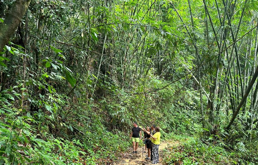 From Khao Lak: Khao Sok Jungle Trek, Bamboo Rafting & Sunset Wildlife Tour