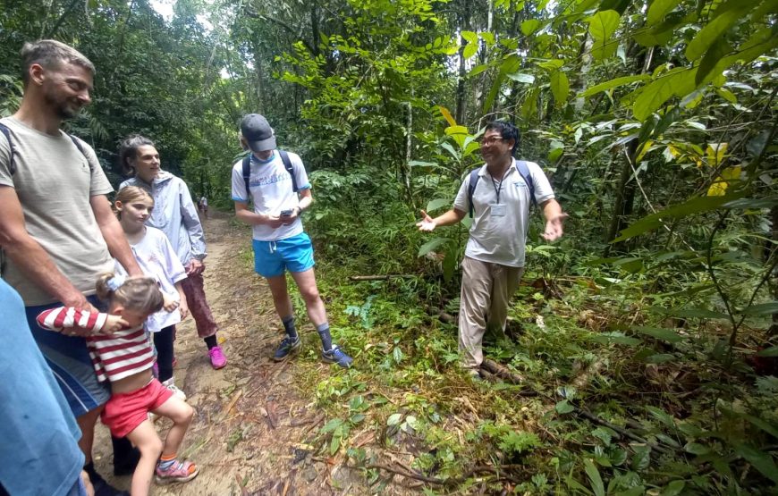 From Khao Lak: Khao Sok Jungle Trek, Bamboo Rafting & Sunset Wildlife Tour