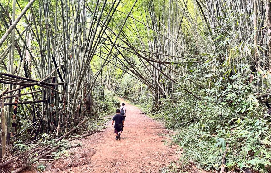 From Khao Lak: Khao Sok Jungle Trek, Bamboo Rafting & Sunset Wildlife Tour