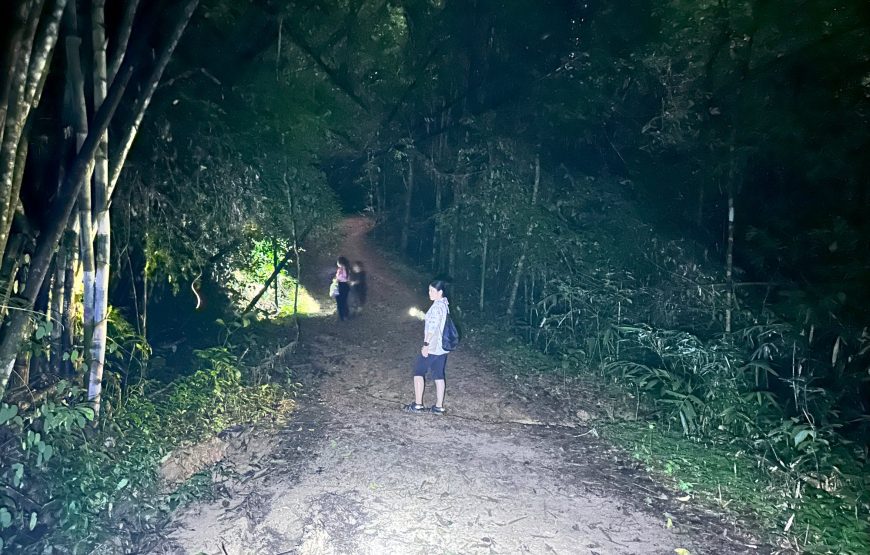 From Khao Lak: Khao Sok Jungle Trek, Bamboo Rafting & Sunset Wildlife Tour