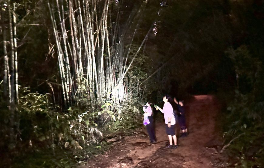 From Khao Lak: Khao Sok Jungle Trek, Bamboo Rafting & Sunset Wildlife Tour
