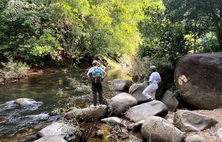 From Khao Lak: Khao Sok Jungle Trek, Bamboo Rafting & Sunset Wildlife Tour